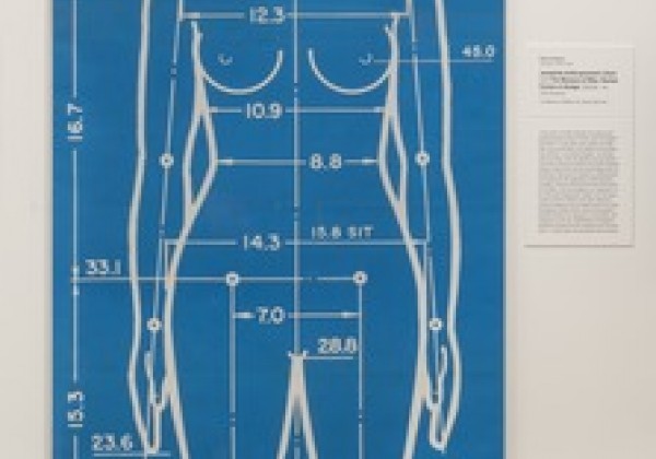 Measurements of the female body for ergonomic design